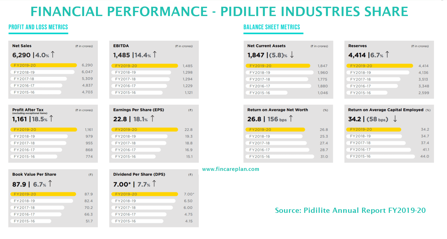 Financial Performance - Pidilite Industries Share